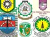 Poly Lecturer calls for an end to the dichotomy between Polytechnic and university graduates in Nigeria